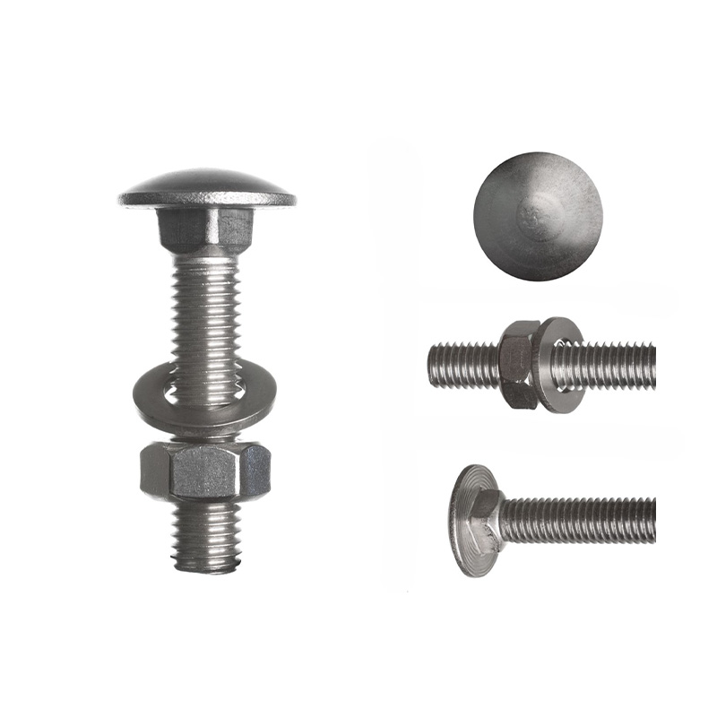 صراخ الفطر الفولاذ المقاوم للصدأ